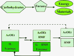 Graphical abstract: Conversion of fructose to 5-hydroxymethylfurfural using ionic liquids prepared from renewable materials