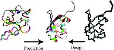 Graphical abstract: Computational protein design, from single domain soluble proteins to membrane proteins