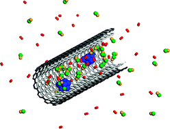 Graphical abstract: Reactions over catalysts confined in carbon nanotubes
