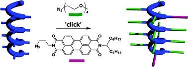 Graphical abstract: Post-modification of helical dipeptido polyisocyanides using the ‘click’ reaction