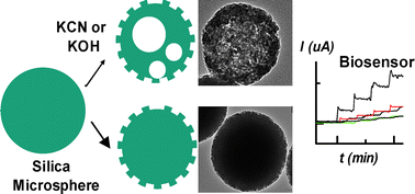 Graphical abstract: Corrugated and nanoporous silica microspheres: synthesis by controlled etching, and improving their chemical adsorption and application in biosensing
