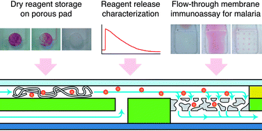 Graphical abstract: Enabling a microfluidic immunoassay for the developing world by integration of on-card dry reagent storage