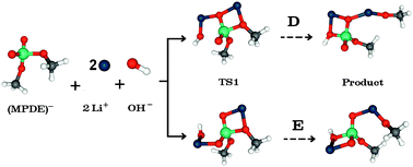 Graphical abstract: Alkali metals (Li, Na, and K) in methyl phosphodiester hydrolysis
