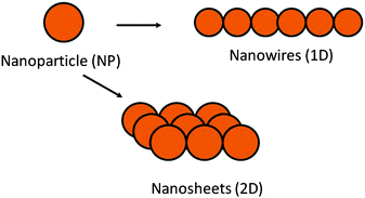 Graphical abstract: Nanoparticle assembly for 1D and 2D ordered structures