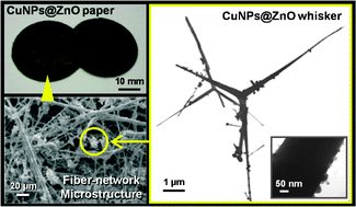 Graphical abstract: In situ synthesis of Cu nanocatalysts on ZnO whiskers embedded in a microstructured paper composite for autothermal hydrogen production