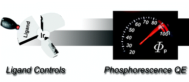 Graphical abstract: Phosphorescent iridium(iii) complexes: toward high phosphorescence quantum efficiency through ligand control