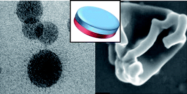 Graphical abstract: Structures of amphiphilic Janus discs in aqueous media