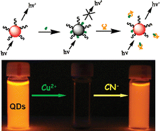 Graphical abstract: Turn-on fluorescent cyanide sensor based on copper ion-modified CdTe quantum dots