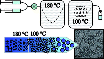 Graphical abstract: Redispersible and water-soluble LaF3:Ce,Tb nanocrystalsvia a microfluidic reactor with temperature steps