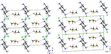 Graphical abstract: Remarkable structural similarities between organic co-crystals and a metal–organic coordination network—insights into hydrogen bonded aliphatic ammonium chlorides