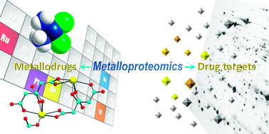 Graphical abstract: Identification and characterization of metallodrug binding proteins by (metallo)proteomics