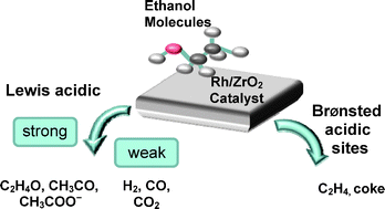 Graphical abstract: The role of acidic sites and the catalytic reaction pathways on the Rh/ZrO2 catalysts for ethanol steam reforming