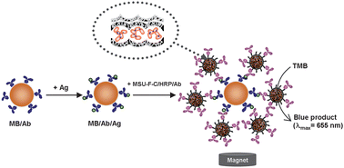 Graphical abstract: High performance immunoassay using immobilized enzyme in nanoporous carbon