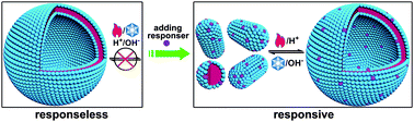 Graphical abstract: Endowing catanionic surfactant vesicles with dual responsive abilities via a noncovalent strategy: introduction of a responser, sodium cholate