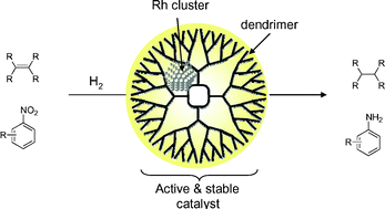 Graphical abstract: Nanocage catalysts—rhodium nanoclusters encapsulated with dendrimers as accessible and stable catalysts for olefin and nitroarene hydrogenations