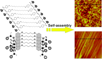 Graphical abstract: Gelation and self-assembly of glutamate bolaamphiphiles with hybrid linkers: effect of the aromatic ring and alkyl spacers