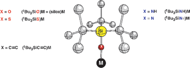 Graphical abstract: Structure and reactivity studies of transition metals ligated by tBuSi3X (X = O, NH, N, S, and CC)