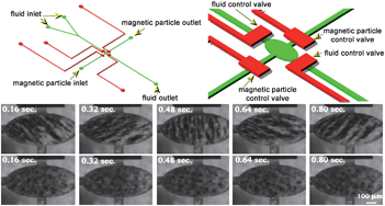 Graphical abstract: Effective mixing in a microfluidic chip using magnetic particles