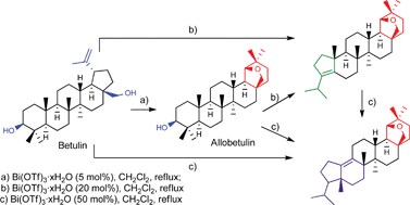 Graphical abstract: Bismuth triflate-catalyzed Wagner-Meerwein rearrangement in terpenes. Application to the synthesis of the 18α-oleanane core and A-neo-18α-oleanene compounds from lupanes