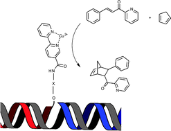 Graphical abstract: Modular assembly of novel DNA-based catalysts