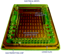 Graphical abstract: Development of a digital microfluidic platform for point of care testing