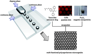 Graphical abstract: Microfluidic assisted synthesis of multi-functional polycaprolactone microcapsules: incorporation of CdTe quantum dots, Fe3O4 superparamagnetic nanoparticles and tamoxifen anticancer drugs