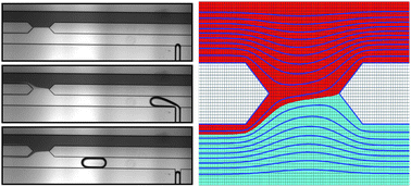 Graphical abstract: Hydrodynamic resistance of single confined moving drops in rectangular microchannels