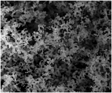 Graphical abstract: Facile, environmentally friendly fabrication of porous silver monoliths using the ionic liquid N-(2-hydroxyethyl)ammonium formate