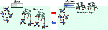 Graphical abstract: Bifurcation of self-motion depending on the reaction order