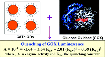 Graphical abstract: Conformation and activity dependent interaction of glucose oxidase with CdTe quantum dots: towards developing a nanoparticle based enzymatic assay