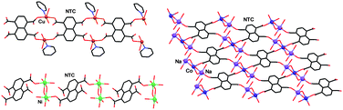 Graphical abstract: Supramolecular reactivity of naphthalene-1,4,5,8-tetracarboxylic acid towards transition metal ions: coordination polymers and discrete complexes with CuII, NiII and CoII