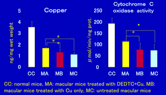 Graphical abstract: Copper metabolism and inherited copper transport disorders: molecular mechanisms, screening, and treatment
