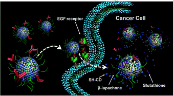 Graphical abstract: Cyclodextrin-covered gold nanoparticles for targeted delivery of an anti-cancer drug