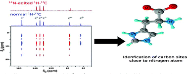 Graphical abstract: Rapid analysis of isotopically unmodified amino acids by high-resolution 14N-edited 1H–13C correlation NMR spectroscopy