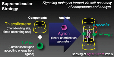 Graphical abstract: A supramolecular sensing system for AgI at nanomolar levels by the formation of a luminescent AgI–TbIII–thiacalix[4]arene ternary complex