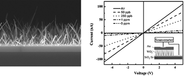 Graphical abstract: Growth of monoclinic WO3nanowire array for highly sensitive NO2 detection