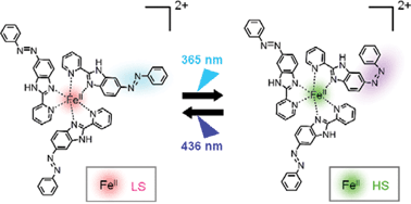 Graphical abstract: Reversible light-induced magnetization change in an azobenzene-attached pyridylbenzimidazole complex of iron(ii) at room temperature