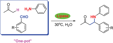 Graphical abstract: Lipase-catalysed direct Mannich reaction in water: utilization of biocatalytic promiscuity for C–C bond formation in a “one-pot” synthesis