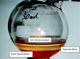 Graphical abstract: N-alkylation of N-heterocyclic ionic liquid precursors in ionic liquids
