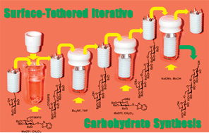 Graphical abstract: STICS: surface-tethered iterative carbohydrate synthesis