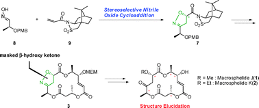 Graphical abstract: First total syntheses of (−)-macrosphelides J and K and elucidation of their absolute configuration