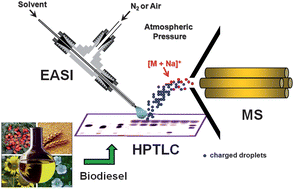 Graphical abstract: Analysis of biodiesel and biodiesel–petrodiesel blends by high performance thin layer chromatography combined with easy ambient sonic-spray ionization mass spectrometry