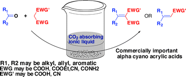 Graphical abstract: CO2 absorbing cost-effective ionic liquid for synthesis of commercially important alpha cyanoacrylic acids: A safe process for activation of cyanoacetic acid