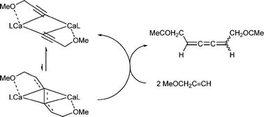 Graphical abstract: Catalytic 2,3,4-hexatriene formation by terminal alkyne coupling at calcium