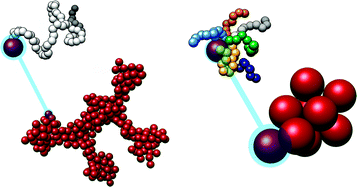 Graphical abstract: The influence of polymer architecture on the assembly of poly(ethylene oxide) grafted C60fullerene clusters in aqueous solution: a molecular dynamics simulation study