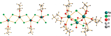 Graphical abstract: Neptunium(vi) chain and neptunium(vi/v) mixed valence cluster complexes