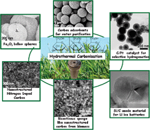 Graphical abstract: Chemistry and materials options of sustainable carbon materials made by hydrothermal carbonization