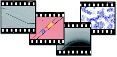 Graphical abstract: Microfluidic chips for the crystallization of biomacromolecules by counter-diffusion and on-chip crystal X-ray analysis