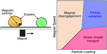 Graphical abstract: Fundamentals of magnet-actuated droplet manipulation on an open hydrophobic surface