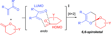 Graphical abstract: The hetero-Diels–Alder approach to spiroketals